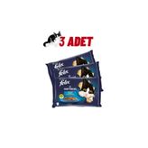 Purina 12x85 gr Felix Multipack Somonlu ve Ton Balıklı Yaş Kedi Maması