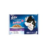 Purina Felix Tavuklu Pouch 4x100 gr Yavru Kedi Yaş Mama