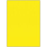 Puti 50x70 cm 10'lu Sarı Klasik Eva