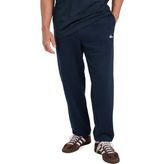 Quiksilver Basıc Jogger Erkek Lacivert Eşofman Alt