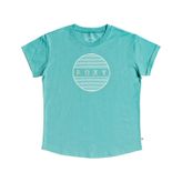 Quiksilver Epic Af Corpo Antrasit Çocuk Tişört