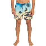 Quiksilver EQYJV03999 Paradise 15 M Volley Gri Erkek Şort