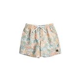 Quiksilver EQYJV04004 Re-Mix Volley 17Nb Erkek Şort Mayo
