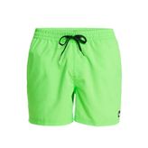 Quiksilver EQYJV04120-GGY0 Everyday Solid Yeşil Erkek Deniz Şortu