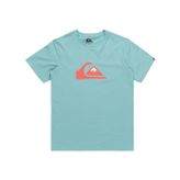 Quiksilver Erkek Çocuk Comp Logo Ss Yth Tişört (1'li Paket)