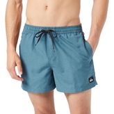 Quiksilver Erkek Everyday 15 Şort