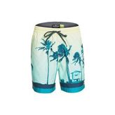 Quiksilver Paradise Volley 17 Erkek Deniz Şortu