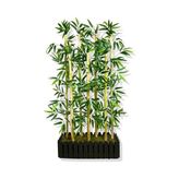 Rafta Bambu Seperatör 7 Adet Bambu Yoğun Yaprak 120 cm (54X20X120)