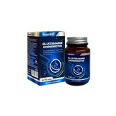 RAGAWELL GLUCOSAMINE CHONDROITIN MSM 30 TABLET