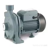 Rainpump Cpm170 Santrifuj Pompa 1.5Hp