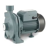 Rainpump CPM170 Santrifuj Pompa