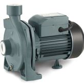 Rainpump CPM190 Santrifuj Pompa