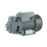 Rainpump QB60 Santrifuj Pompa