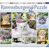 Ravensburger Sepetteki Kediler 500 Parça Puzzle