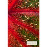 Red Leaf Veins Abstract Notebook: Vibrant Tropical Caladium Pattern Journal for Botanical Lovers and Creative Writing