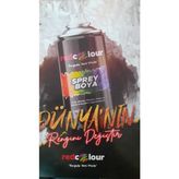Redcolour Sprey Boya Mat Siyah Ral 9004
