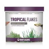 ReeFlowers Tropical Flakes Balık Yemi 500 Ml+