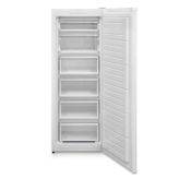 Regal CD 62221 196 lt Derin Dondurucu