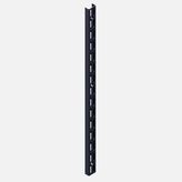 Regalux 2RHG EL32 2060 mm Siyah Duvar Rayı