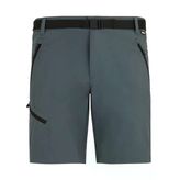 Regatta X-Ert Stretch Erkek Şort-Füme