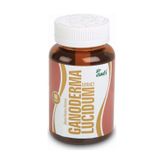 Reishi Mantarı Eki-Ganoderma Lucıdum 90 Kapsül