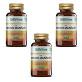 Reishi Mantarı Upr 60 Kapsül (3 Adet)