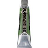 Rembrandt 40 ml 2 No:623 Sap Green Yağlı Boya