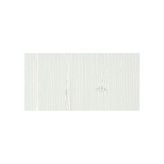 Rembrandt 40 ml Titanium White Yağlı Boya