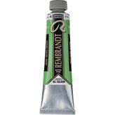 Rembrandt : Artists' : Yağlı Boya : 40 ml : Permanent Green Medium
