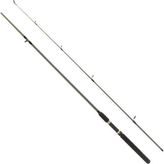 Remixon Flex Spin 180 cm 10-30 gr 2 Parça Spin Kamış