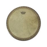 Remo 9.75'' Conga Derisi