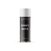 Replax Toyota Auris 209 Siyah Sprey Boya