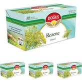 Rezene Bitki Çayı 12 Kutu (4 Paketi)