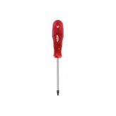 Rico Torx Star Tornavida Delikli T30x100