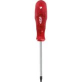 Rico Torx Star Tornavida Delikli T35x100
