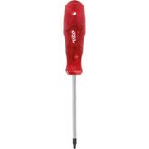 Rico Torx Star Tornavida T10x100