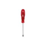 Rico Torx Star Tornavida T30x100