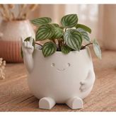 Rock Pot – Gülen Yüzlü Sukulent ve Kaktüs Saksısı – Sevimli Masaüstü Dekoratif Saksı – Modern Ev ve Ofis Hediyesi Rock Pot - Cute Smiley Face Planter
