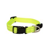 Rogz Utility Collar Köpek Boyun Tasması Medium - Sarı