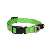 Rogz Utility Collar Köpek Boyun Tasması Medium - Yeşil