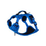 Rogz Utility Explore Harness Köpek Göğüs Tasması Small - Mavi