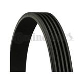 Rose Bmw E34 E38 M60 Kayış Klima Kompresörü - - CNT_5PK980