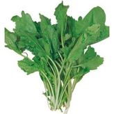 Royaleks 10 gr Tere Tohumu