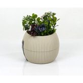 Royaleks Mercan Saksı 11.5x12 Cm 0.70 Lt