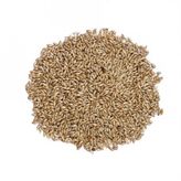 Sade Kanarya Yemi 500 Gr Ücretsiz Kargo