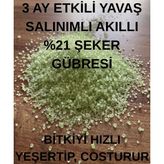Sağlam Tarım Şeker Gübresi (Amonyum Sülfat) Yavaş Salınımlı Akıllı Çim Gübresi - 1500 Gr.