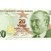 Şaka Parası - 100 Adet 20 TL