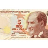 Şaka Parası - 100 Adet 5 TL