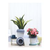 Saksıdan Sofraya Dekoratif Mini Kendini Sulayan Akıllı Saksı (Küçük Boy)