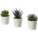 Saksılı Yapay Bitki, Yeşil, 6 Cm, 3 Adet, Kaktüs